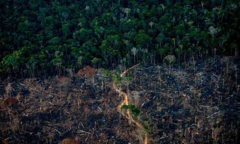 Agresses ambientais na Amaznia em 2021 bateram recorde em 10 anos