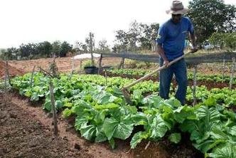 As contrata��es foram impulsionadas, especialmente, pela agricultura, que havia oferecido 5.694 vagas em abril deste ano, pulando para 21.350 postos ofertados em maio.(foto: Votorantim Metais/Divulga��o )