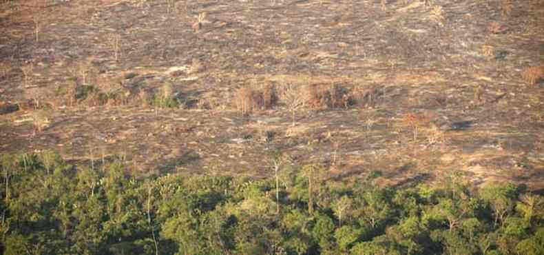 Imagem area mostra devastao em rea do norte do Par. Estado teve reduao de mais de 40% no ndice de desmatamento(foto: REUTERS/Paulo Whitaker )