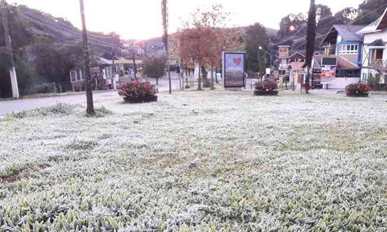 Em Monte Verde, distrito de Camanducaia, gramado amanheceu coberto de gelo(foto: Nelson Pacheco/Divulgao)