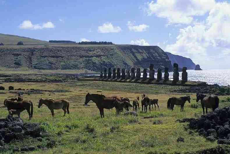 Se no fossem os cavalos na Ilha de Pscoa, a terra no teria chegado ao laboratrio(foto: Getty Images)