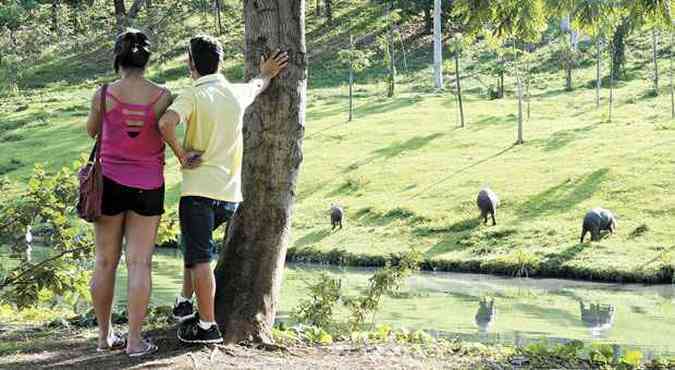 Rafael Monteiro e Luma Sales observam as capivaras no parque e lembram que elas tambm se proliferam sem controle em Carangola, na Zona da Mata, onde eles moravam(foto: FOTOS BETO MAGALHES/EM/D.A PRESS)