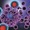 Imunoterapia e farmacologia: precisão no combate ao câncer