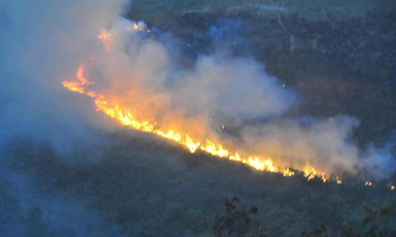 Incêndios florestais mobilizam bombeiros em locais com estiagem prolongada(foto: Marcos Vieira/EM/D.A press) Imagem ilustrativa de incêndio florestal