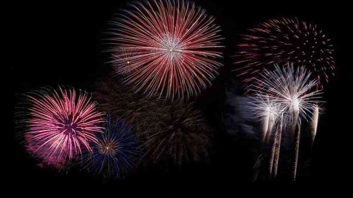 Projeto proíbe queima de fogos de artifício que produzam barulho