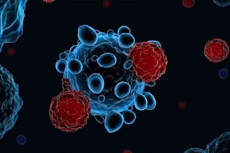 clulas sanguneas cancergenas - ilustrao 