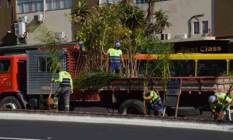 Meio Ambiente anunciou plantio de rvores com caractersticas prprias para reas urbanas(foto: Ricardo Lima /PMC)