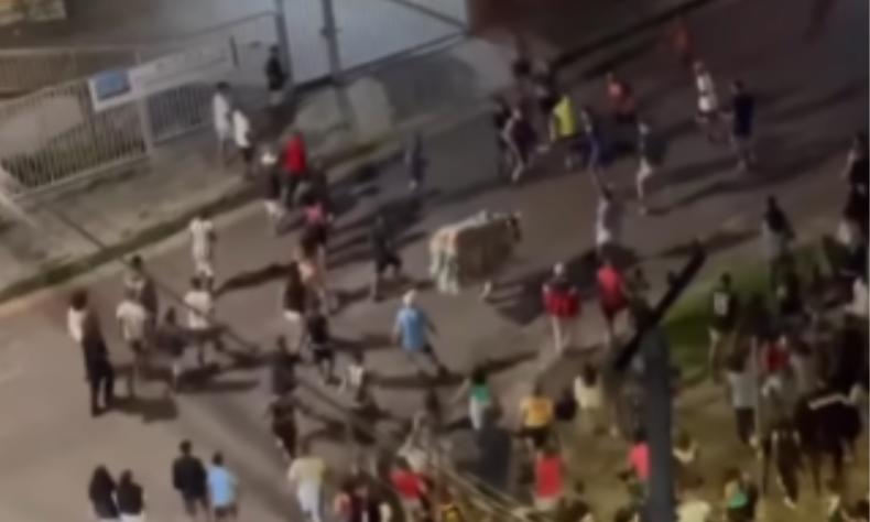 Milhares de pessoas vão às ruas de BH para acompanhar o Boi da Manta(foto: Reprodução/Redes sociais) Pessoas acompanhando o Boi da Manta
