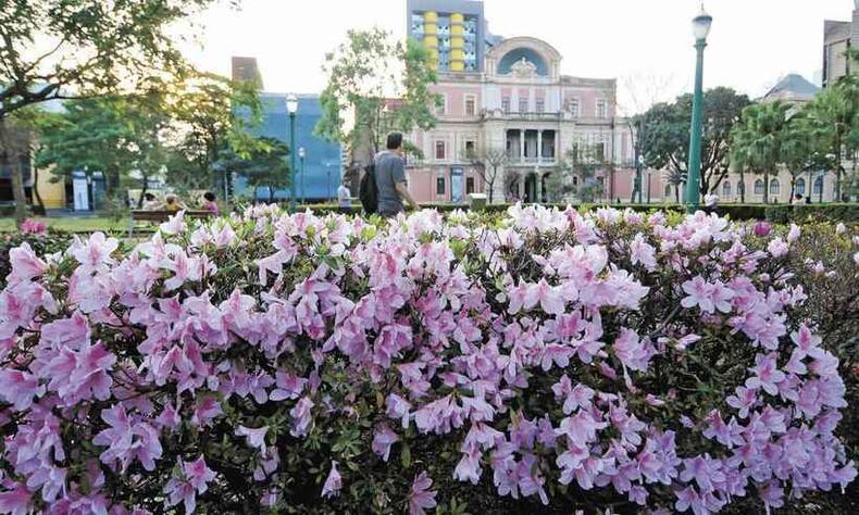 ((Belo Horizonte - MG. Jardins da Praa da Liberdade floridos na vspera da primavera))