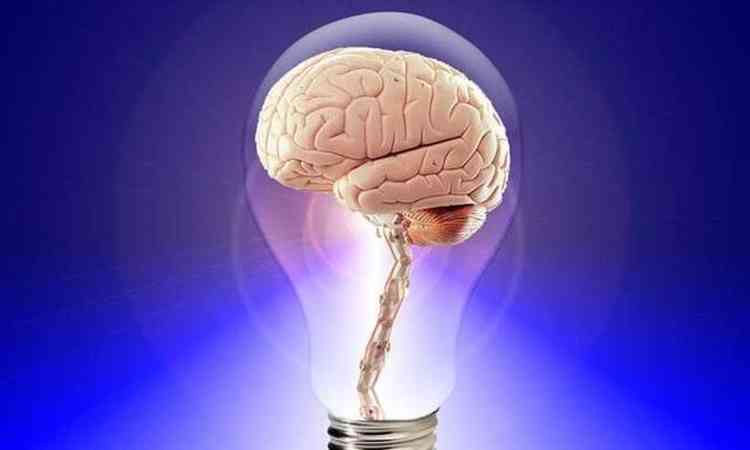 crebro dentro de uma lmpada