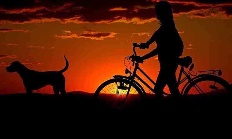 Imagem ilustrativa de um cachorro e uma pessoa de bicicleta