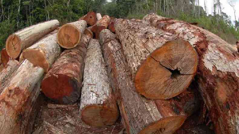 Ao civil pblica contra despacho do Ibama afirmava que documento facilitava desmatamento ilegal(foto: Ministrio do Meio Ambiente)